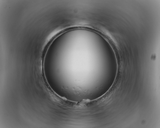 X0000094321320200711091332