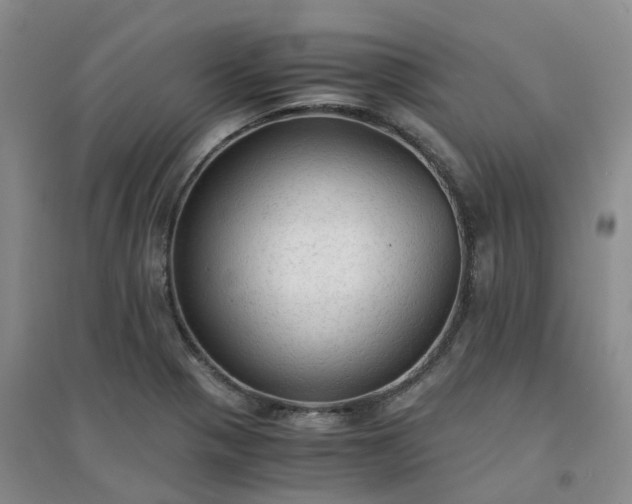 X0000094321321200711091332