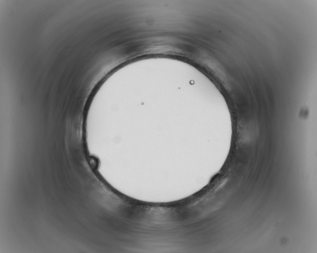 X0000094321322200711091332