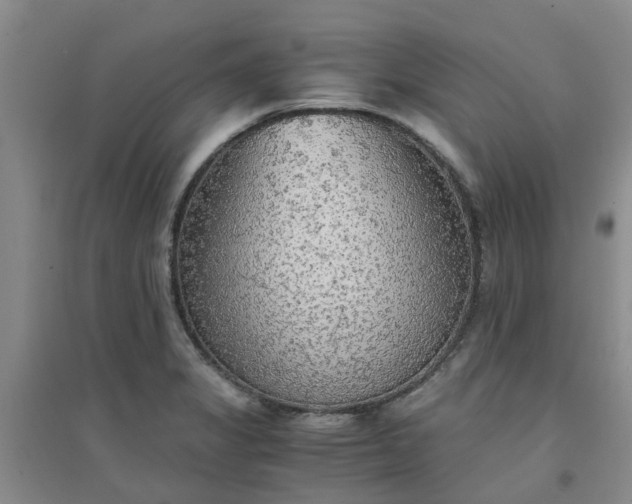 X0000094321325200711091332