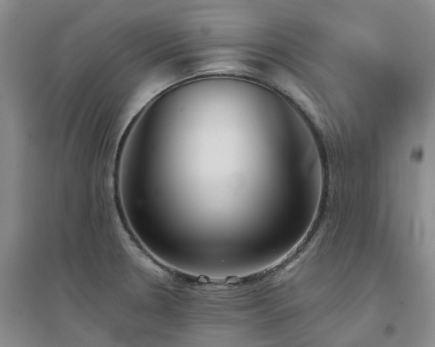 X0000094321330200711091332