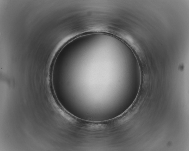 X0000094321331200711091332