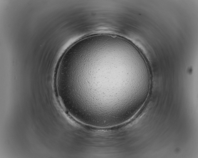 X0000094321333200711091332