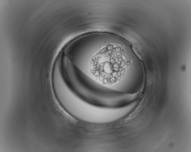 X0000094321334200711091332