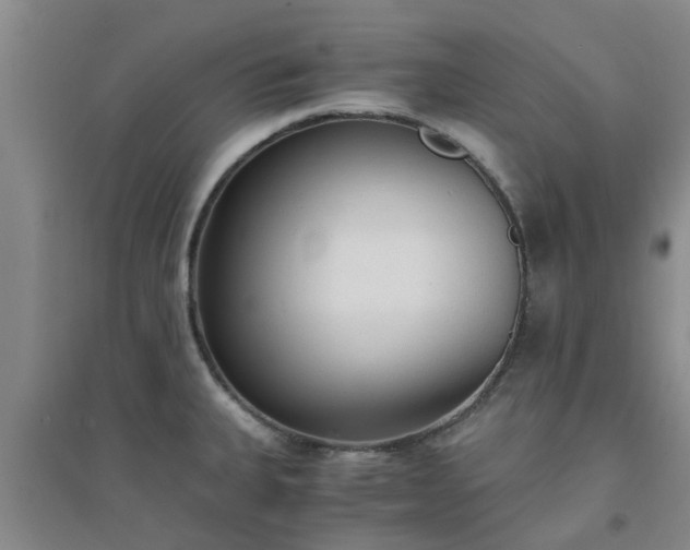 X0000094321335200711091332