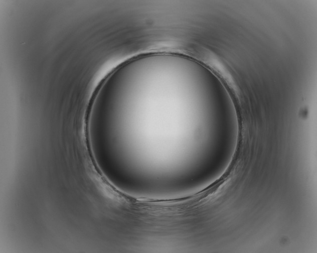X0000094321336200711091332