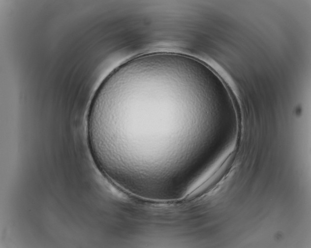 X0000094321341200711091332