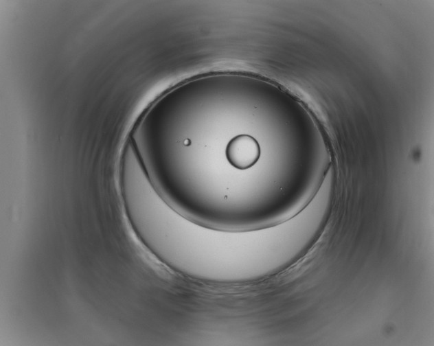 X0000094321342200711091332