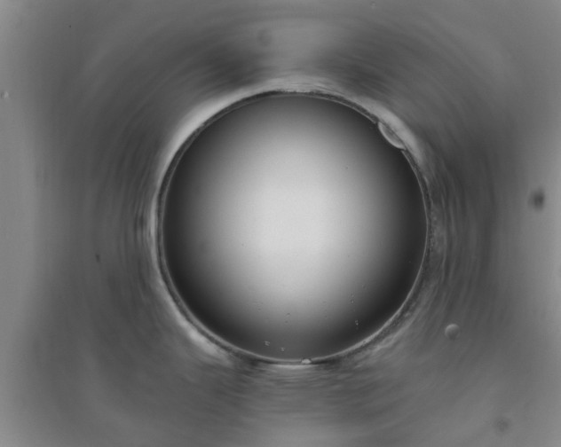 X0000094321343200711091333