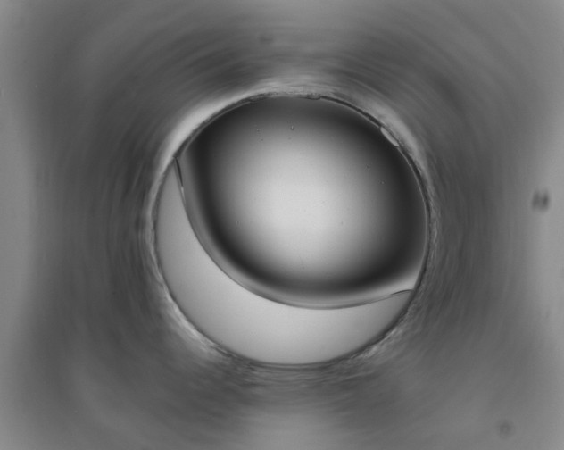 X0000094321344200711091333