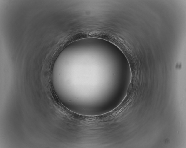 X0000094321345200711091332