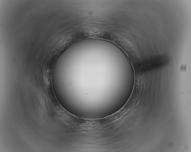 X0000094321346200711091332