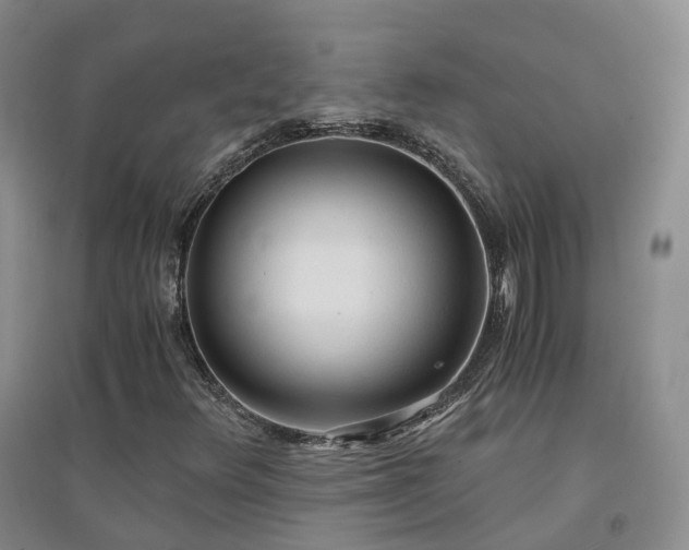 X0000094321348200711091332