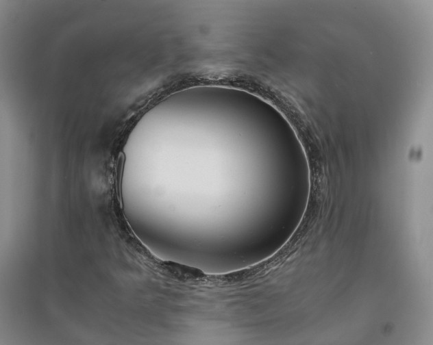 X0000094321349200711091332