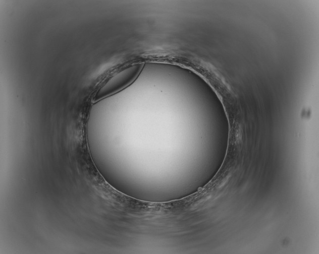 X0000094321350200711091332
