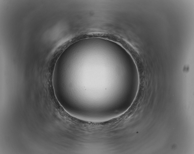 X0000094321351200711091332