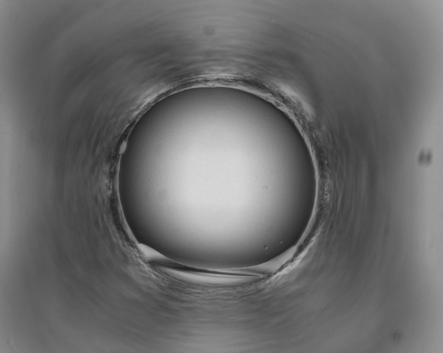 X0000094321353200711091332