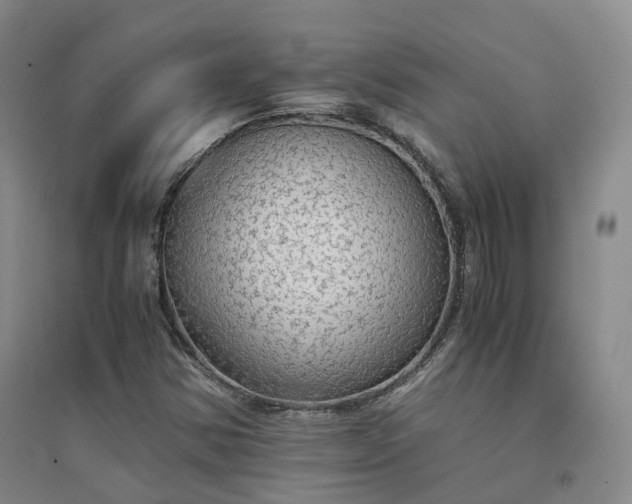 X0000094321354200711091332