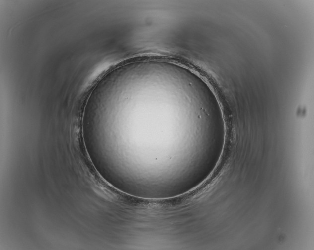 X0000094321355200711091332