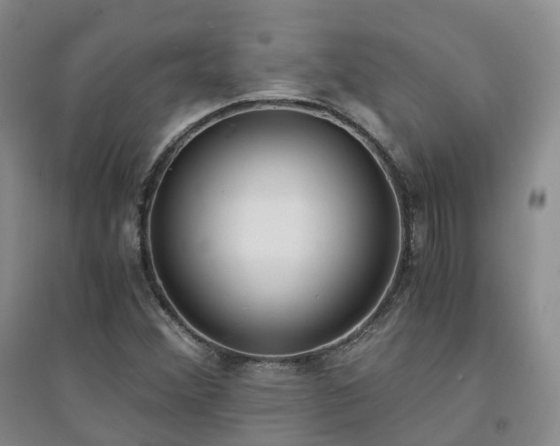 X0000094321356200711091332