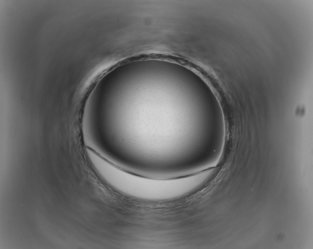 X0000094321359200711091332