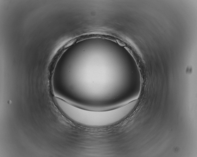 X0000094321360200711091332