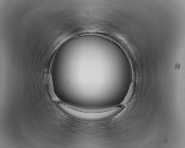 X0000094321361200711091332