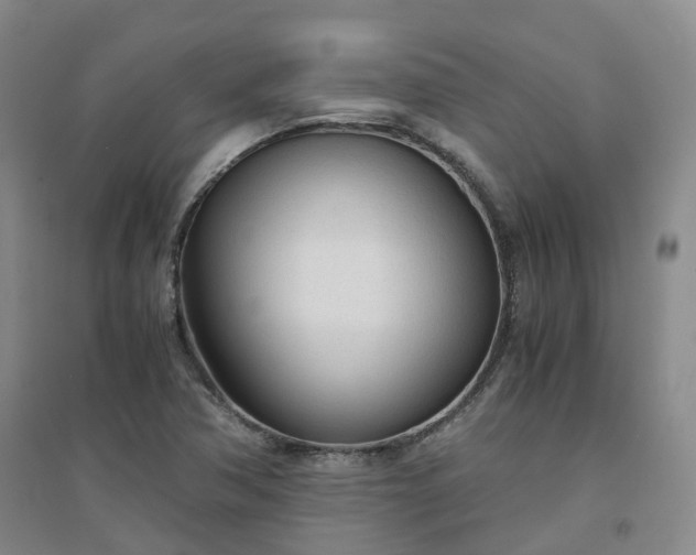X0000094321362200711091332