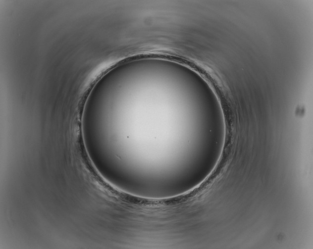 X0000094321363200711091332