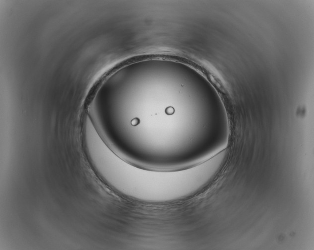 X0000094321364200711091332
