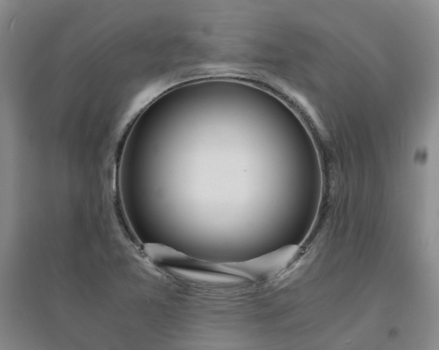 X0000094321365200711091332