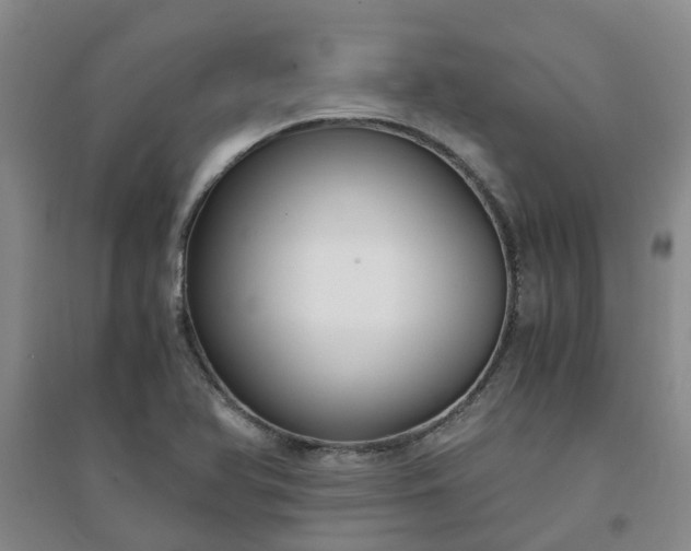X0000094321366200711091332