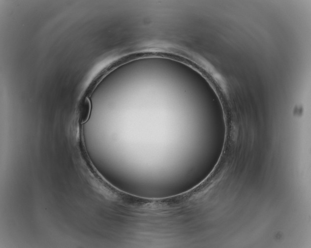 X0000094321368200711091332