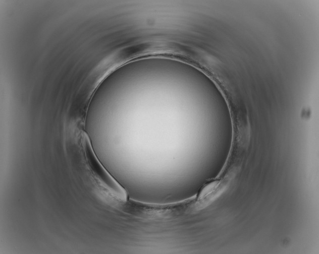 X0000094321369200711091332