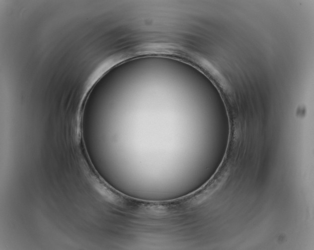 X0000094321370200711091332