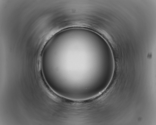 X0000094321371200711091331