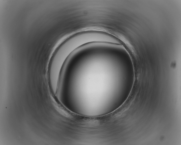X0000094321372200711091331