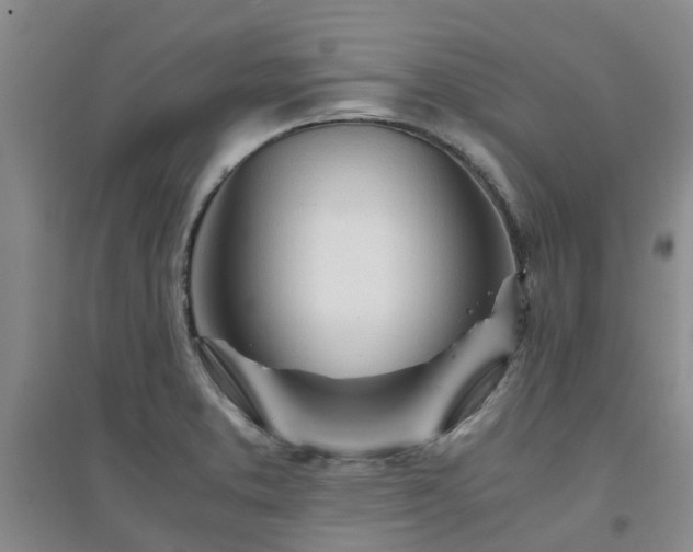 X0000094321373200711091331
