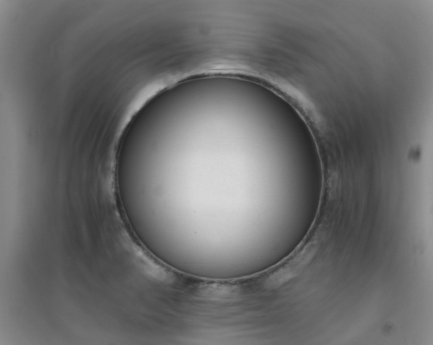 X0000094321374200711091331