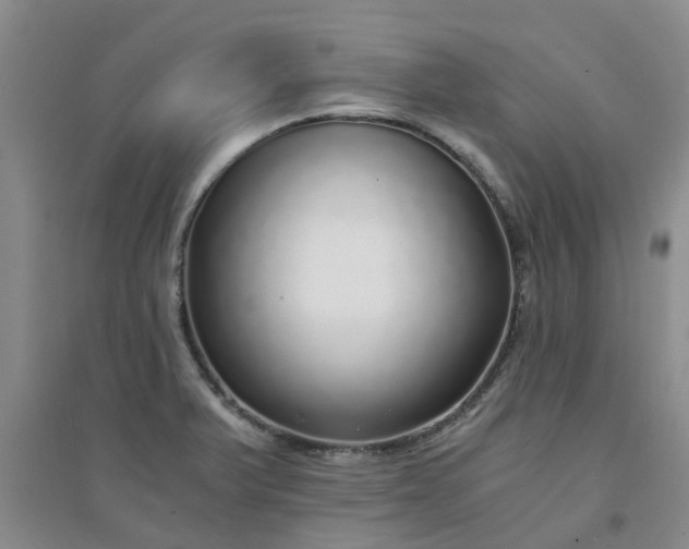 X0000094321375200711091331
