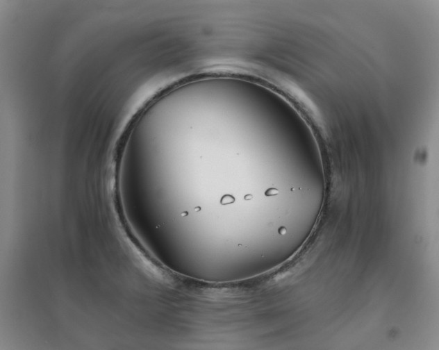 X0000094321376200711091331