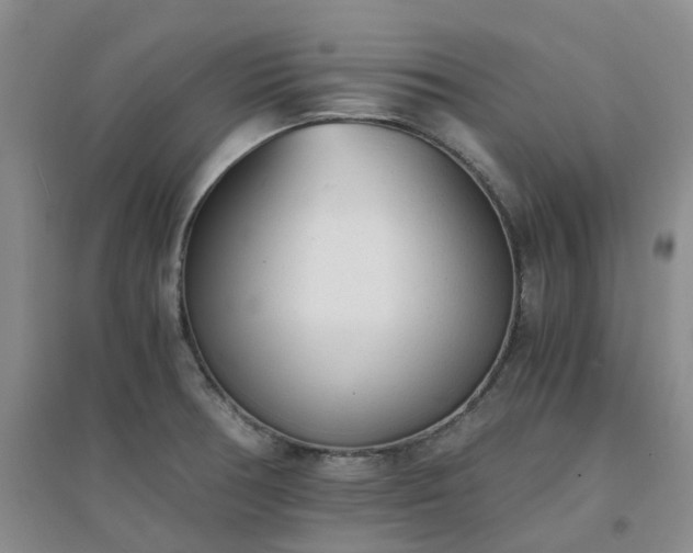 X0000094321378200711091331