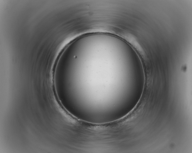 X0000094321380200711091331