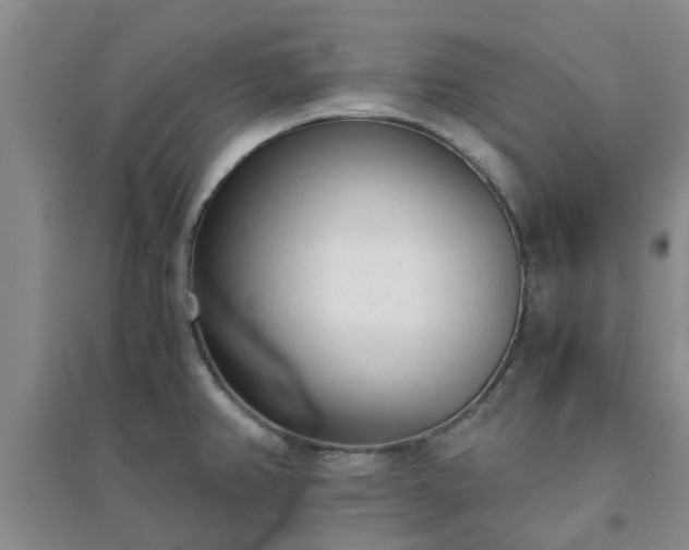 X0000094321382200711091331
