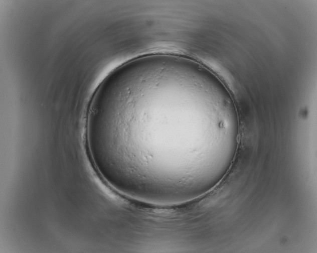 X0000094321383200711091331