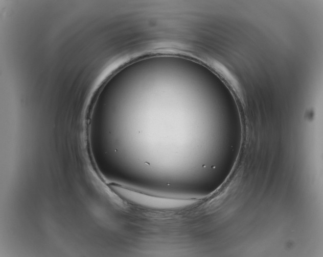X0000094321384200711091331