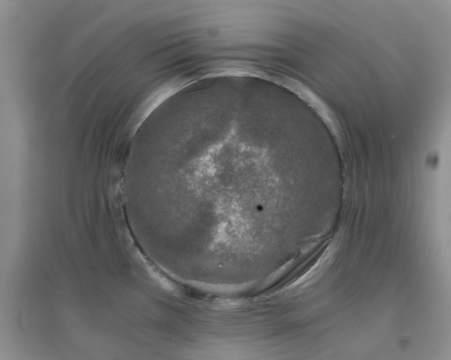 X0000094321385200711091331