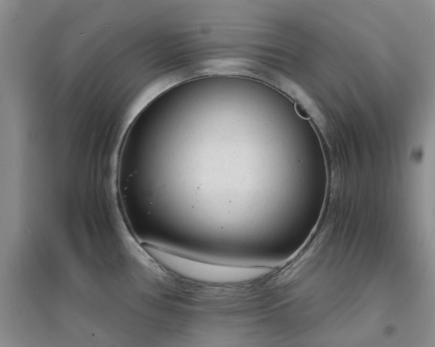 X0000094321386200711091331