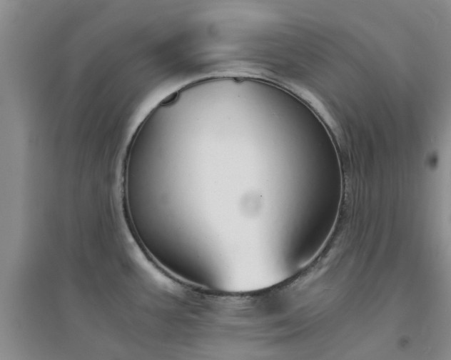X0000094321387200711091331