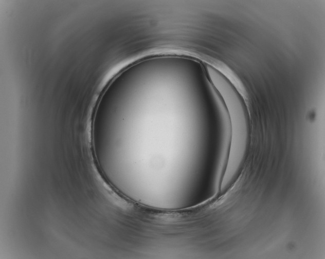 X0000094321388200711091331